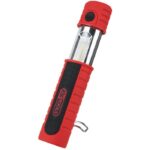 Baladeuse torche à batterie 200 Lumens - IP20